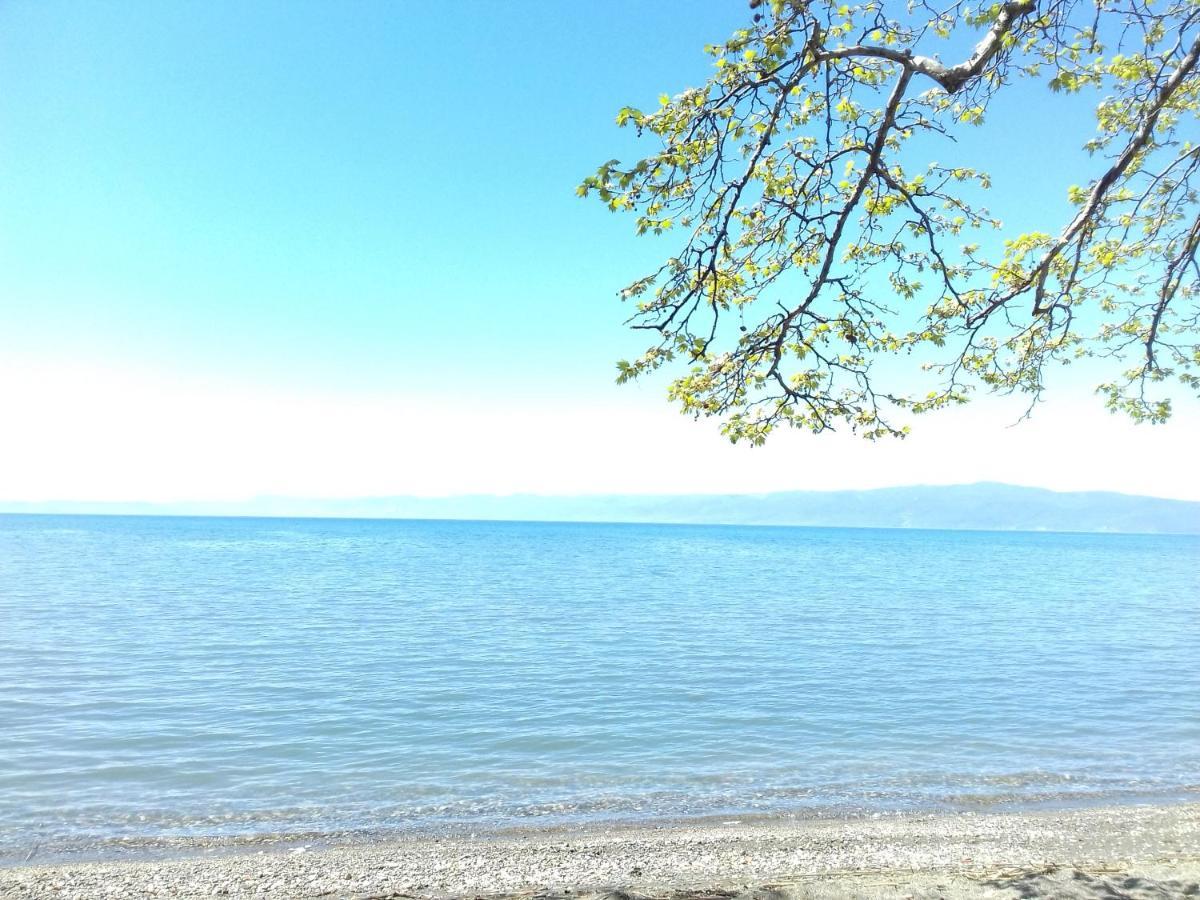 Apartment Biljana Ohrid Eksteriør billede